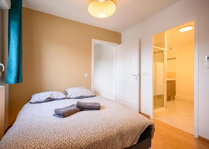 Le Capeyron - Parking - Wifi - Aeroport Apartment